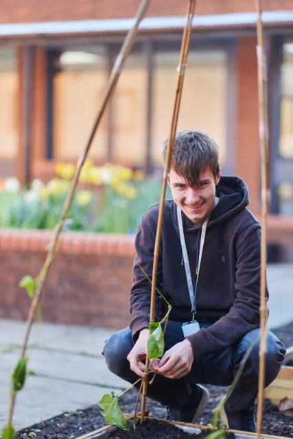 Young man kneeling in garden with plant.