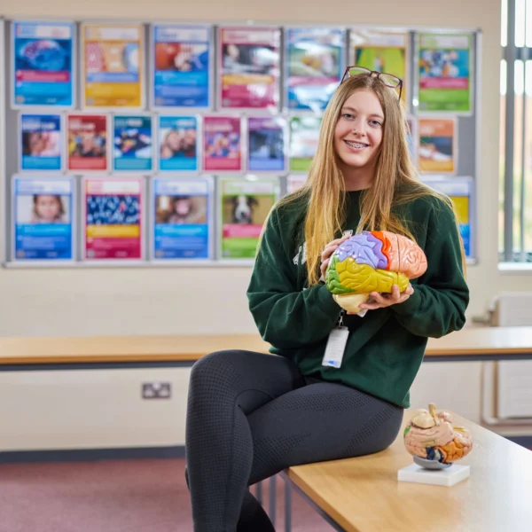 A young woman holds a model of a human head in a classroom.