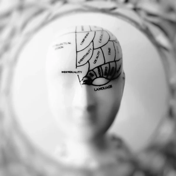 a woman's face with lines drawn on it.
