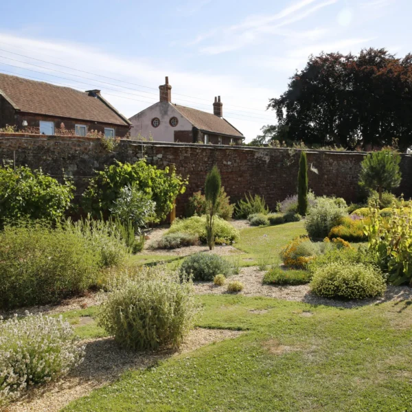 A serene garden with various plants and a brick wall in the background with houses.