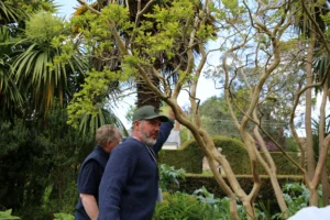 Two men inspecting a tree in a garden setting.