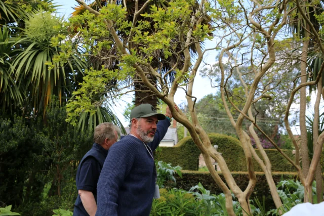 Two men inspecting a tree in a garden setting.