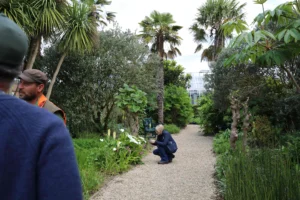 People in a lush garden with a gravel pathway, surrounded by tropical plants and palm trees.