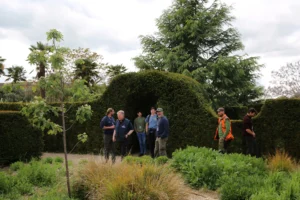 Group of people standing in a garden with a large hedge