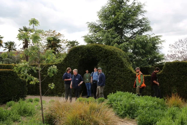 Group of people standing in a garden with a large hedge