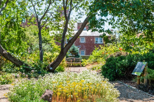 A garden with flowers and trees, a house in the background.