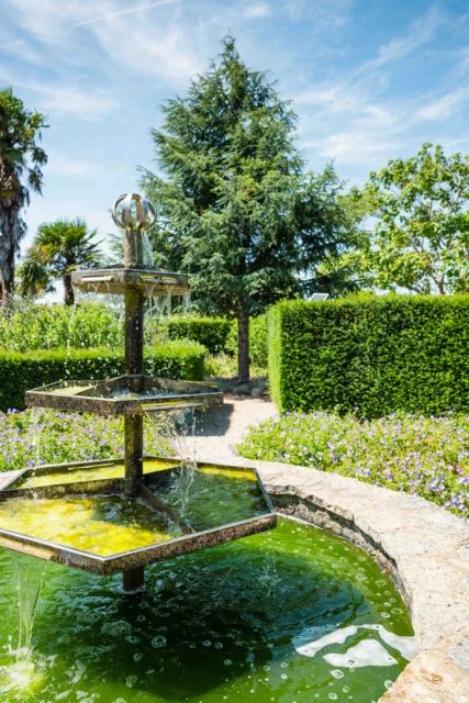 A fountain in a green pond surrounded by lush greenery and trees.