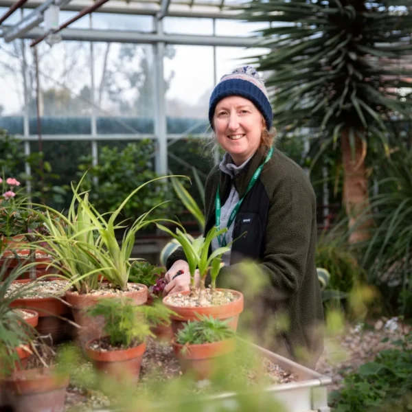 Woman smiling while tending to plants in a greenhouse