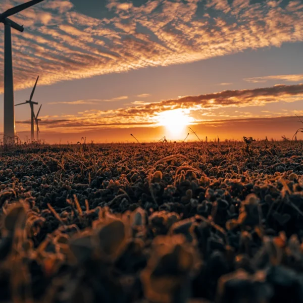 Silhouetted wind turbines stand tall against a vibrant sunset sky with dramatic clouds.