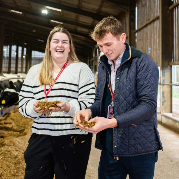 Couple holding animal feed in a barn.
