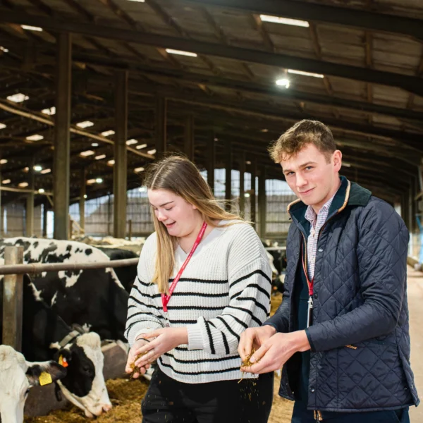 Man and woman in a dairy farm looking at a tablet.