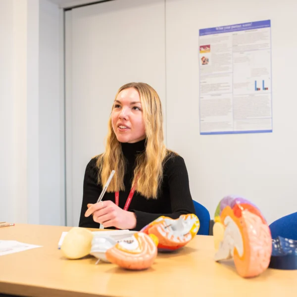 A woman sits at a table with dental models.