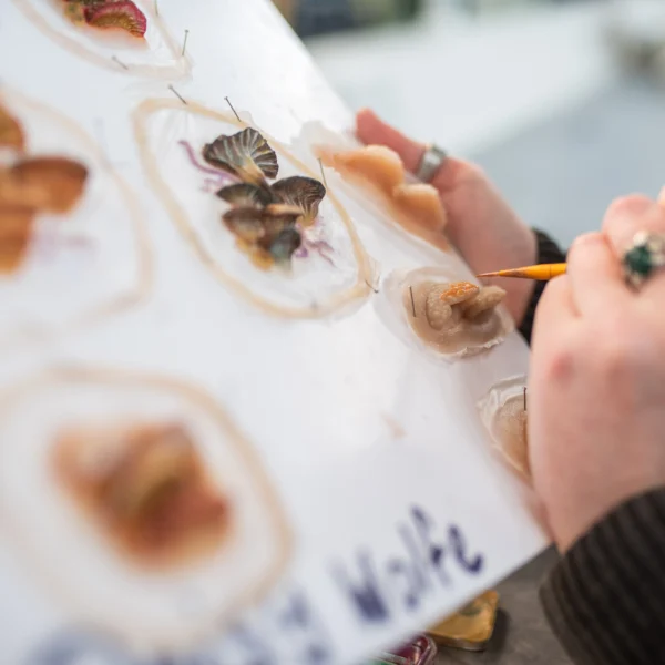 hands painting a watercolour picture of butterflies