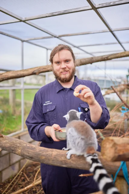 A man in a blue uniform feeding a lemur in a zoo enclosure.
