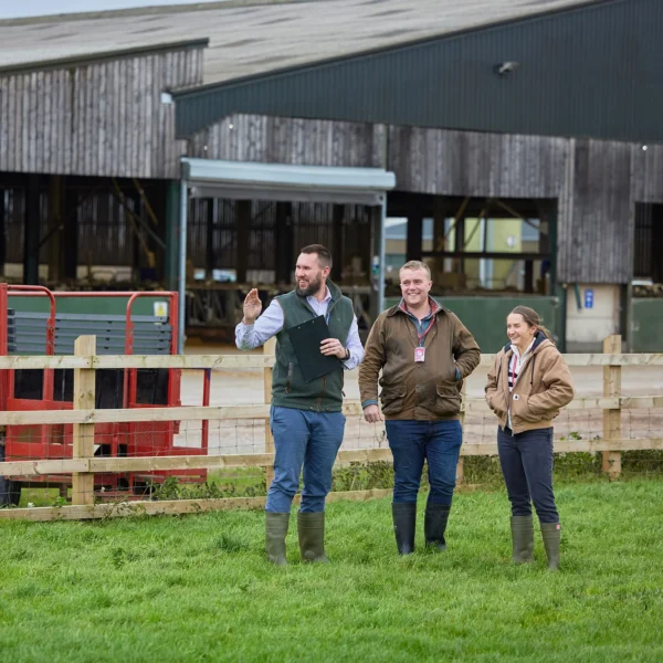 Three people standing in a grassy field in front of a barn, smiling and chatting.