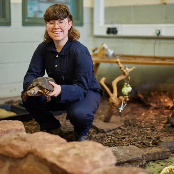 A woman crouches down holding a lizard in her hands.