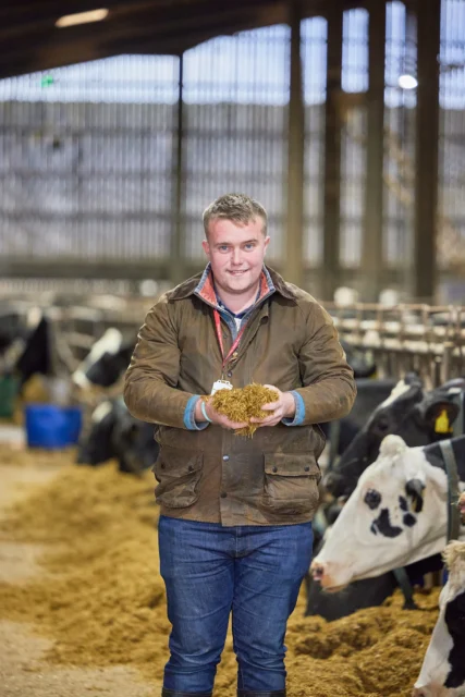 Man holding feed in a barn with cows.