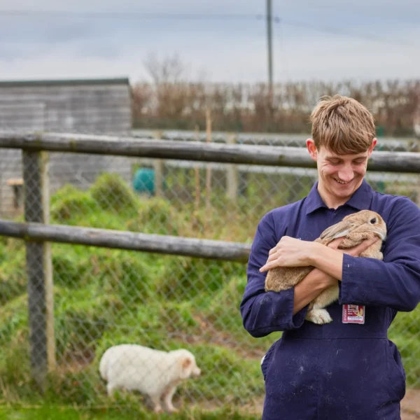 a young man holding a rabbit outside a fenced area