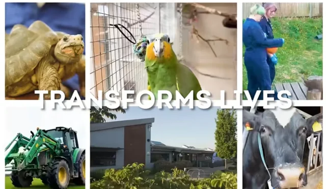 Collage of six images showing different scenes of farm and wildlife