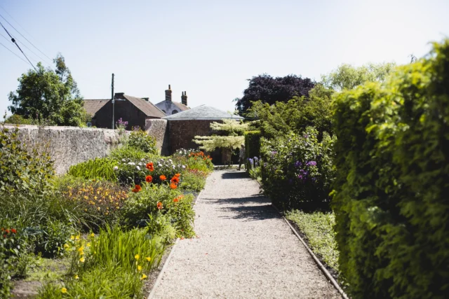 A garden pathway with flowers on both sides leading to buildings, with a hedge on the right.