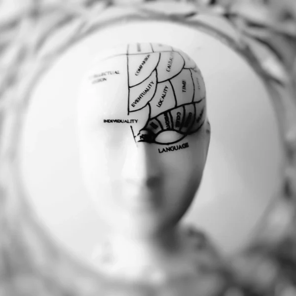 Face of woman with lines around the eye and temple area marked on her forehead reflecting in crystal ball.