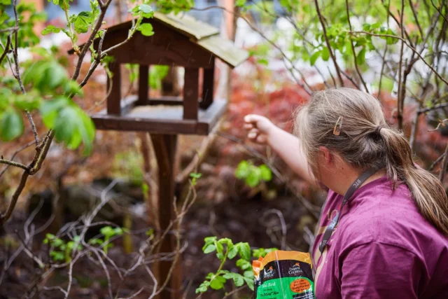 A woman putting seed into a bird feeder.