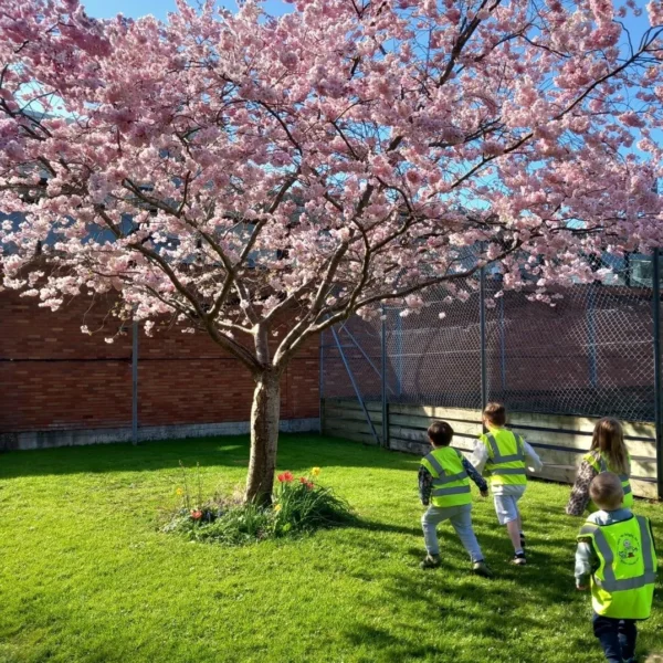 Children in green vests standing under a pink flowering tree