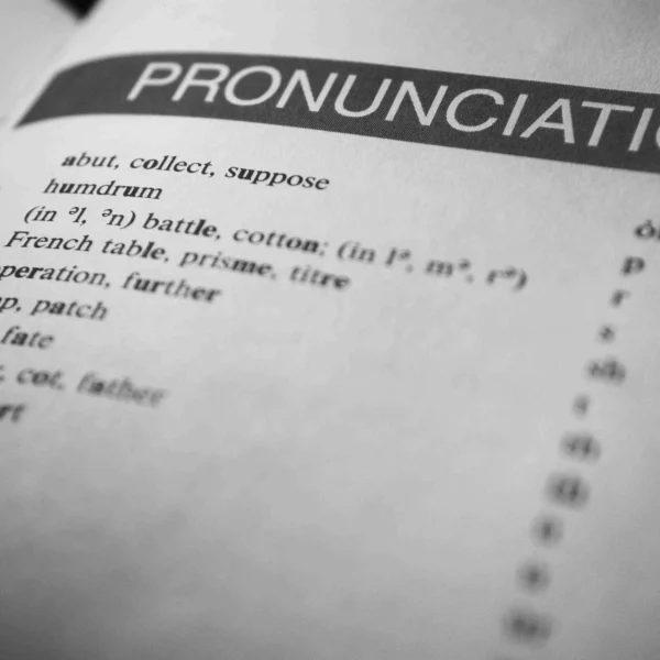Close-up of a page from a dictionary showing the pronunciation guide.